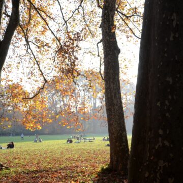 Le parc de la Tête d’Or, l’un des plus grands de France